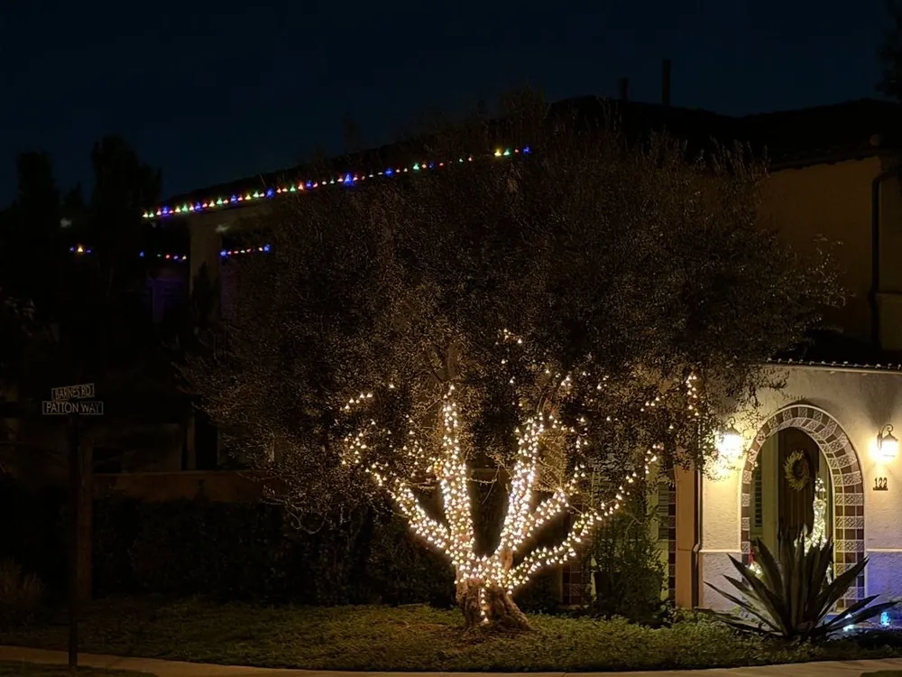Tree & Shrub Wrapping — Summerlin, NV